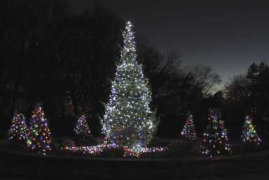 Light up the holidays