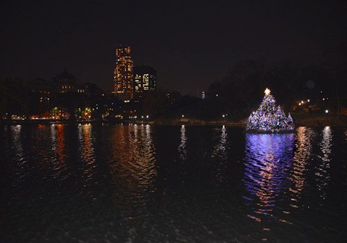 19th Annual Dana Holiday Lighting in Central Park 