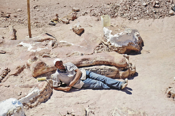 Titanosaur is coming to New York