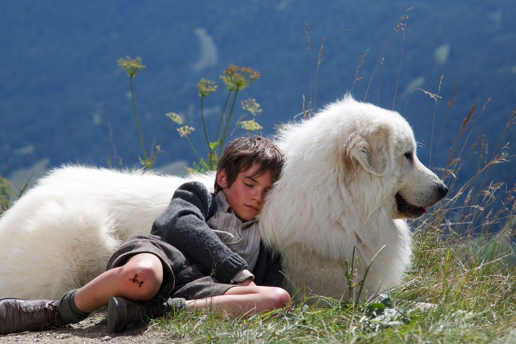 New York International Children's Film Festival