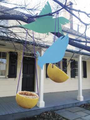 It’s for the birds!