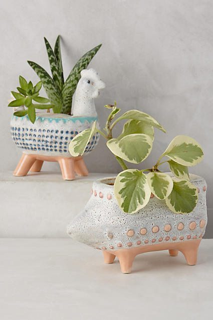 Charming Critter Planter from Anthropologie