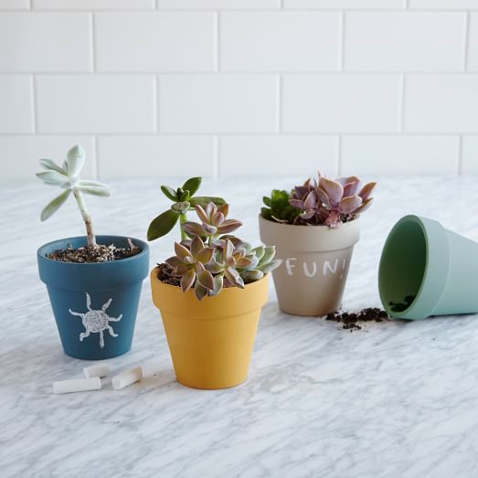 West Elm Chalkboard Planter