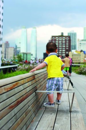 iStock_000020556898_Large