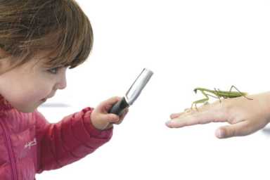 Hands-on learning