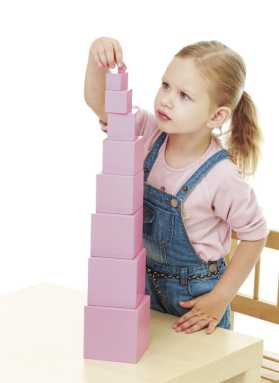 The Montessori mind
