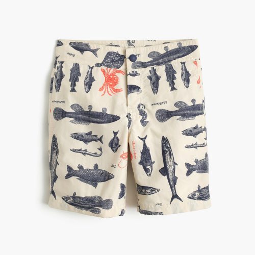 J.Crew Boys' Board Short in Saltwater Fish