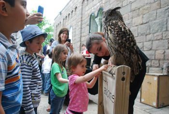 Family Festival at the Met Cloisters: Animal Friends 