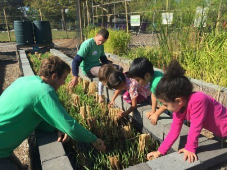 Urban Farm Exploration Day on Randall's Island
