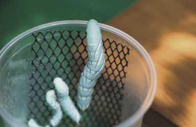 Bugged out at the New York Hall of Science