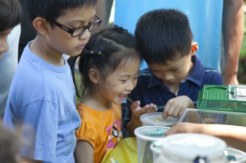Bug Day at the New York Hall of Science 
