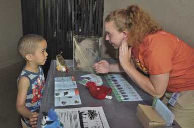 Take the challenge of the four Quests