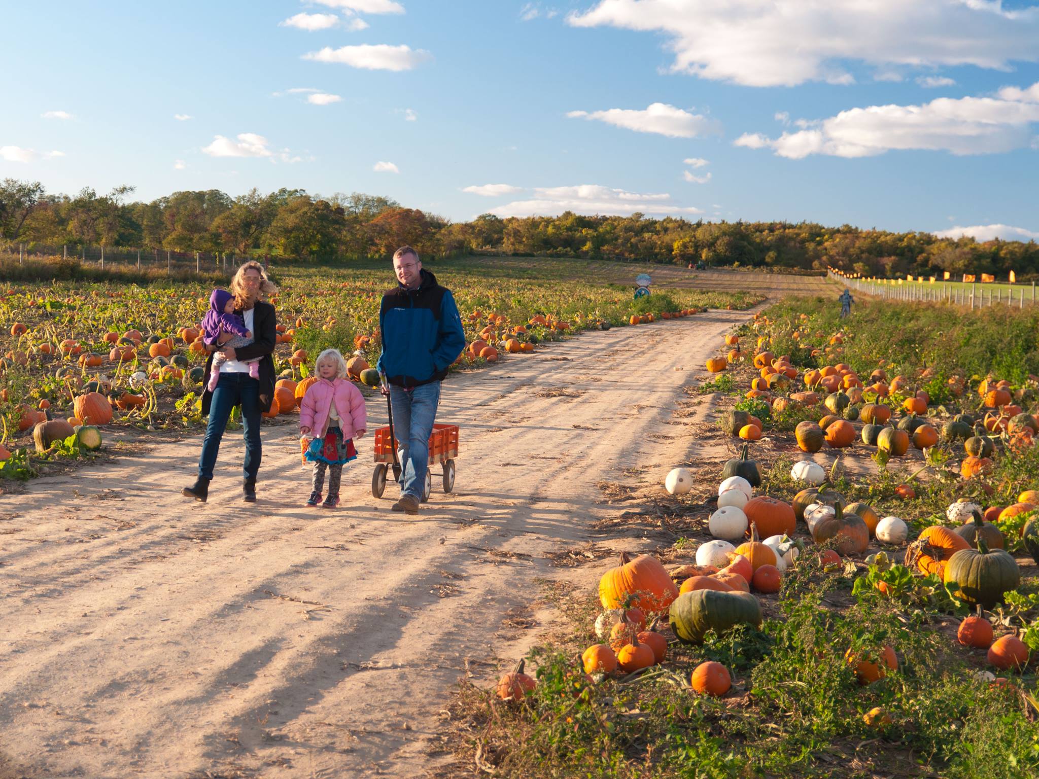 Harbes Family Farm