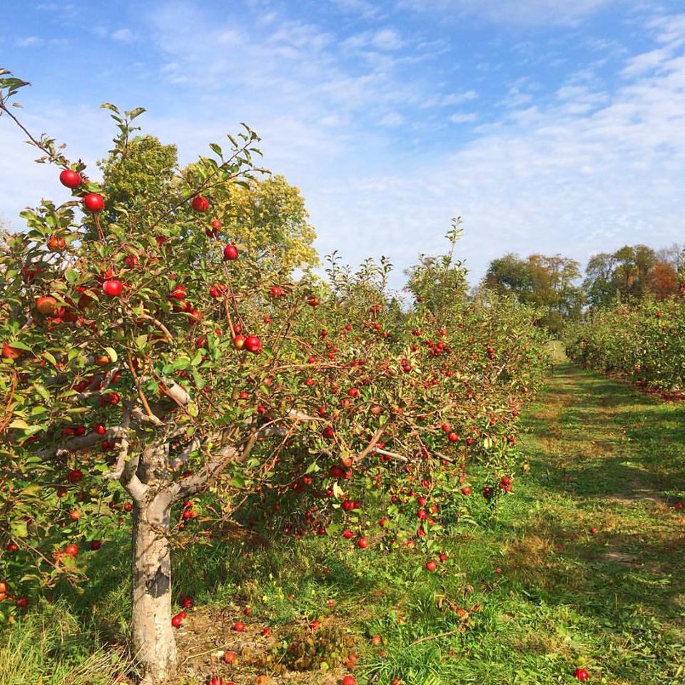 Hurds Family Farm