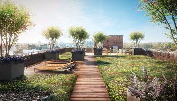 123 on the Park - Roof