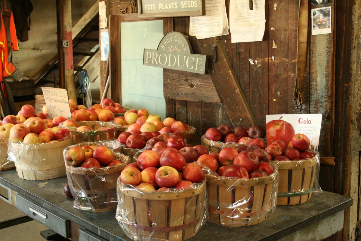 Stuart’s Fruit Farm