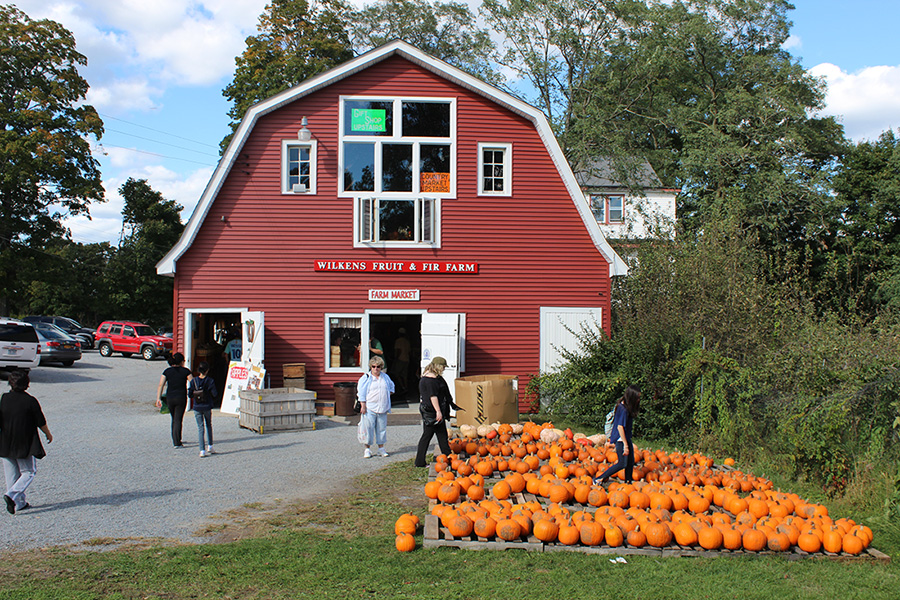 Wilkens Fruit and Fir Farm