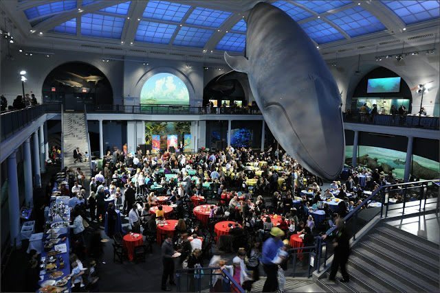 Family Party at American Museum of Natural History