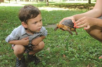 WCS_Julie Larsen Maher 7162 Toddler Camp QZ 08 08 11