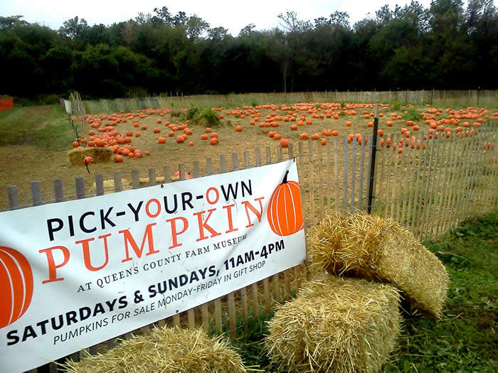 Fall Activities at the Queens County Farm Museum