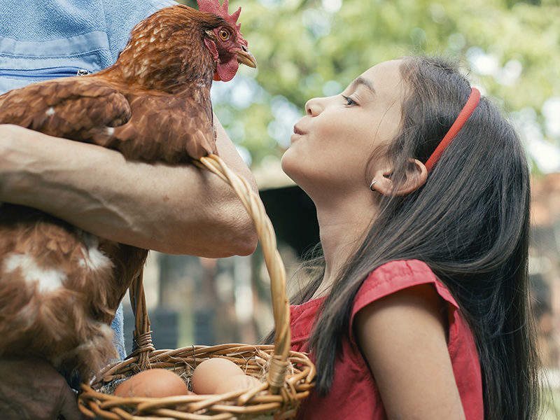 Farm Fresh Festival for Kids at South Street Seaport