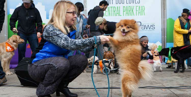 My Dog Loves Central Park Fair in Central Park