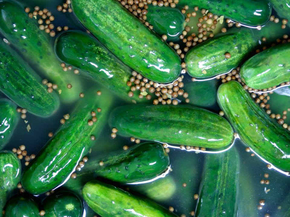 Lower East Side Pickle Day
