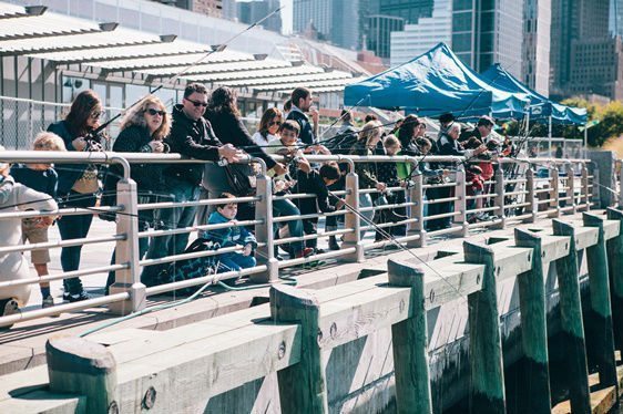 Submerge: NYC Marine Science Festival at Pier 26 in Hudson River Park