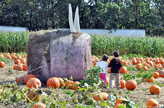 Fink’s Country Farm