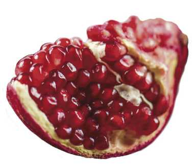 Harvest fall’s fresh flavors