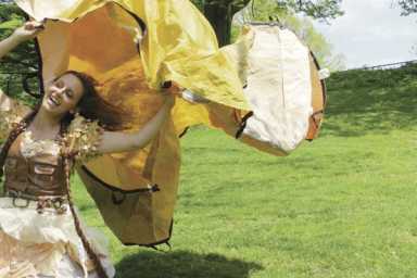 Help find the missing teeth