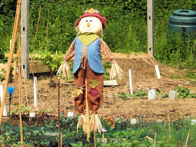 Scarecrow Nights for Families at New York Botanical Garden