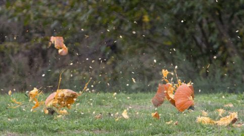 Pumpkin Chucking at New York Hall of Science