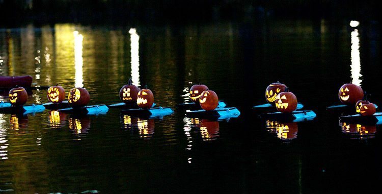 Jack-o’-lantern pumpkins glow with various carved faces as they float on trays on a dark reflective lake at night.