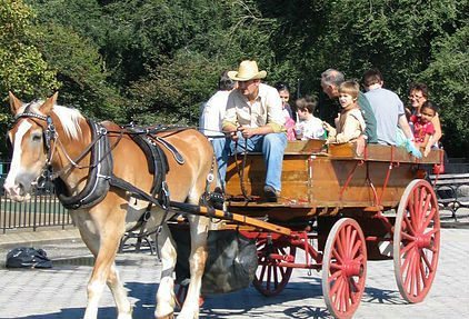 Harvest Festival in Carl Schurz Park