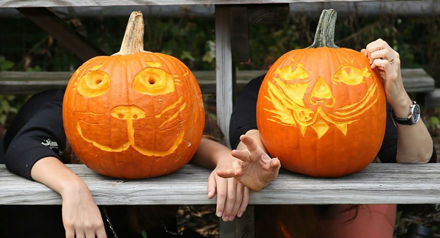 Giant Pumpkin Weekend and Meet the Growers at New York Botanical Garden