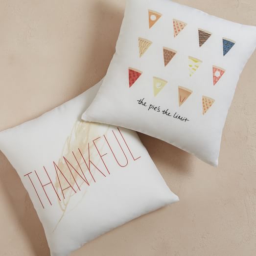 West Elm Thanksgiving Pillow Covers
