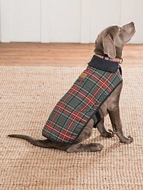 Pendleton Small Plaid Dog Coat