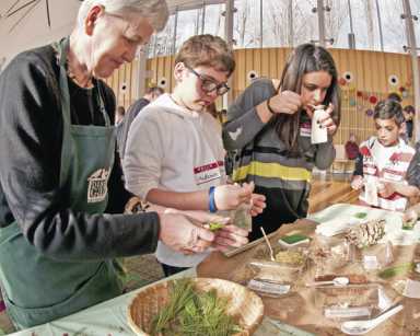 First Sunday: Crafts, stories, and nature walks at Brooklyn Botanic Garden