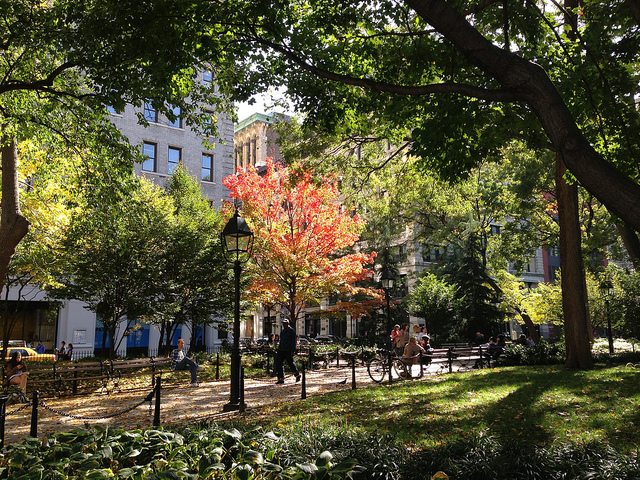 Under The Tree at the Old Stone House and Washington Park