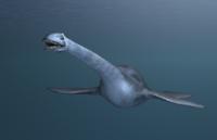 Prehistoric Ocean Dwellers at AMNH