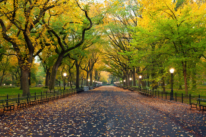 Central Park