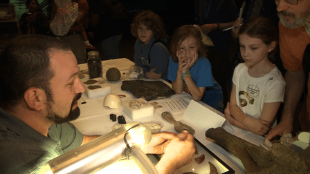 Identification Day At The American Museum Of Natural History