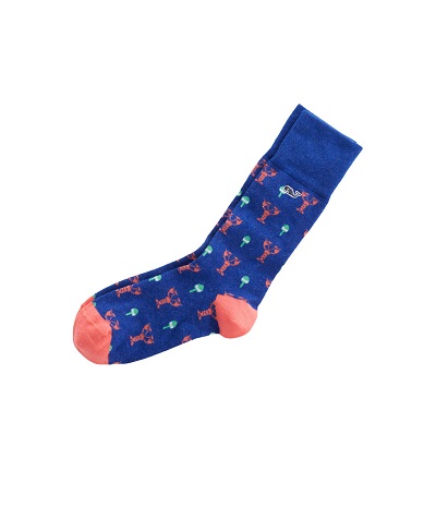 Vineyard Vines Lobster and Buoy Socks 