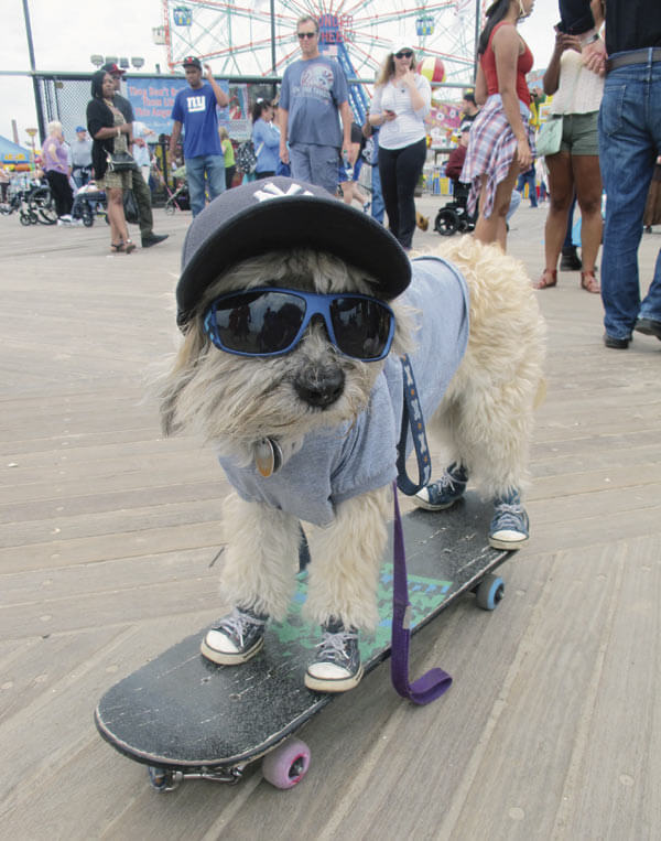Fur flies! Four-legged friends strut their stuff in Pet Costume Day in Coney Island