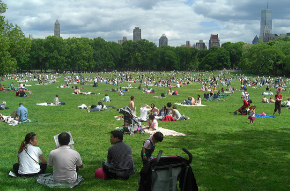 Central Park: Great Lawn