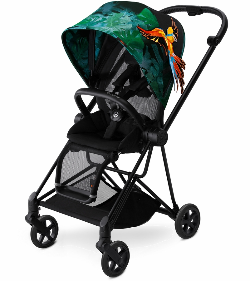 birdsofparadisestroller