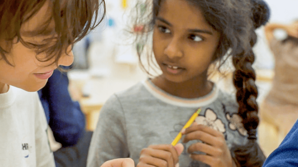 Portfolio School