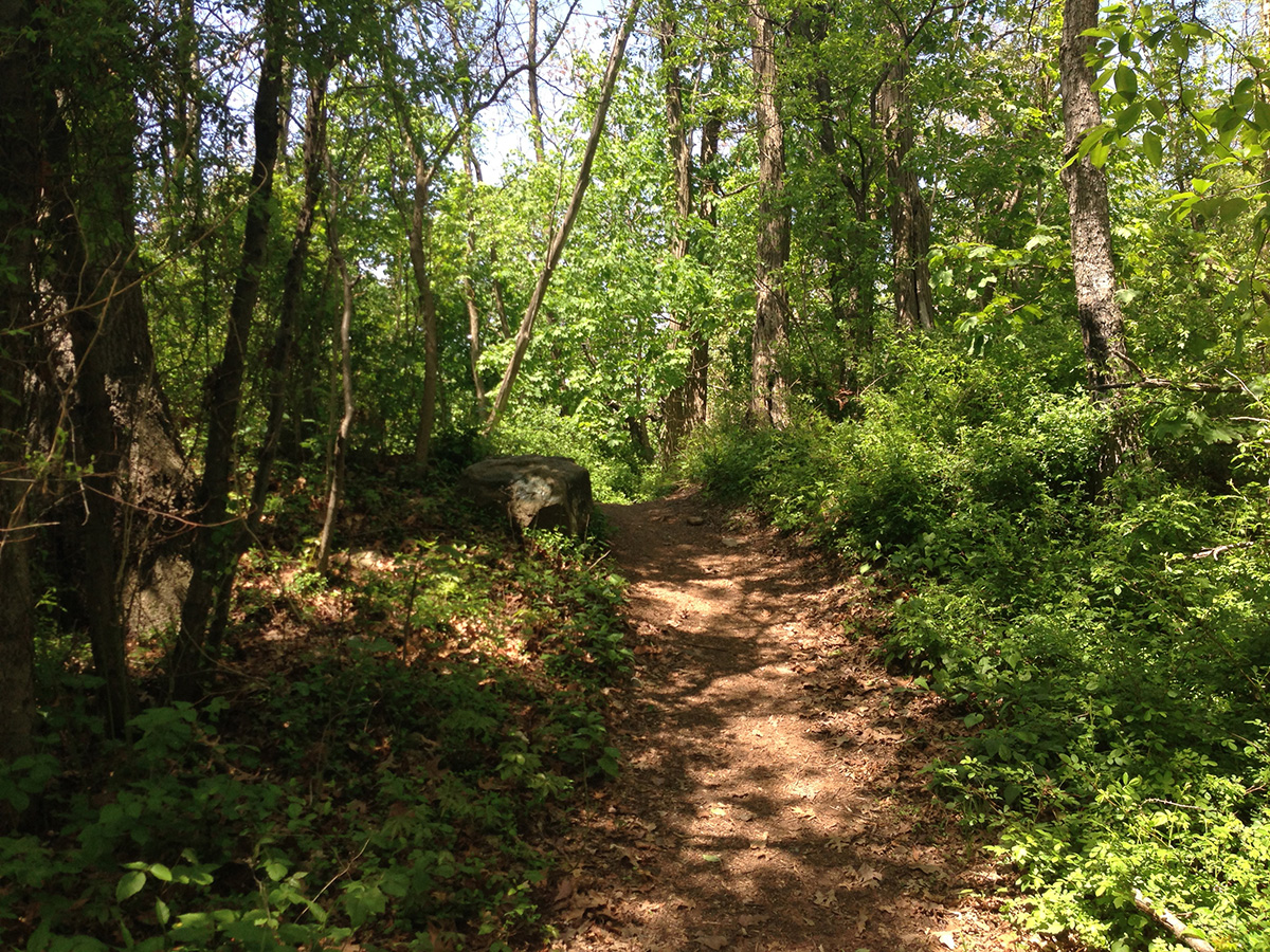 Staten Island Greenbelt