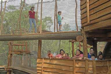A whole new perspective on nature at Bronx Zoo’s Nature Trek